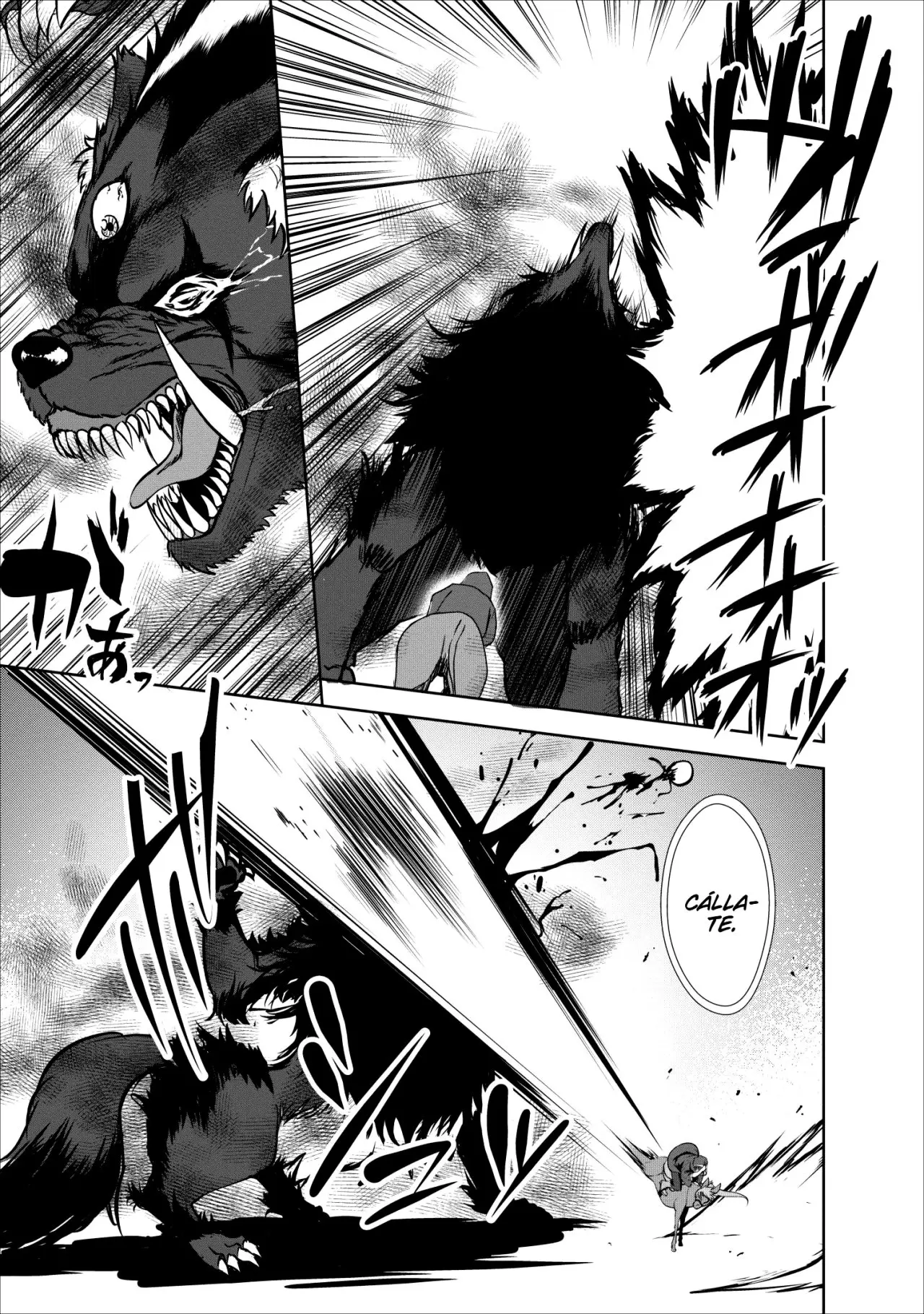 Shinka No Mi capítulo 16, página 28