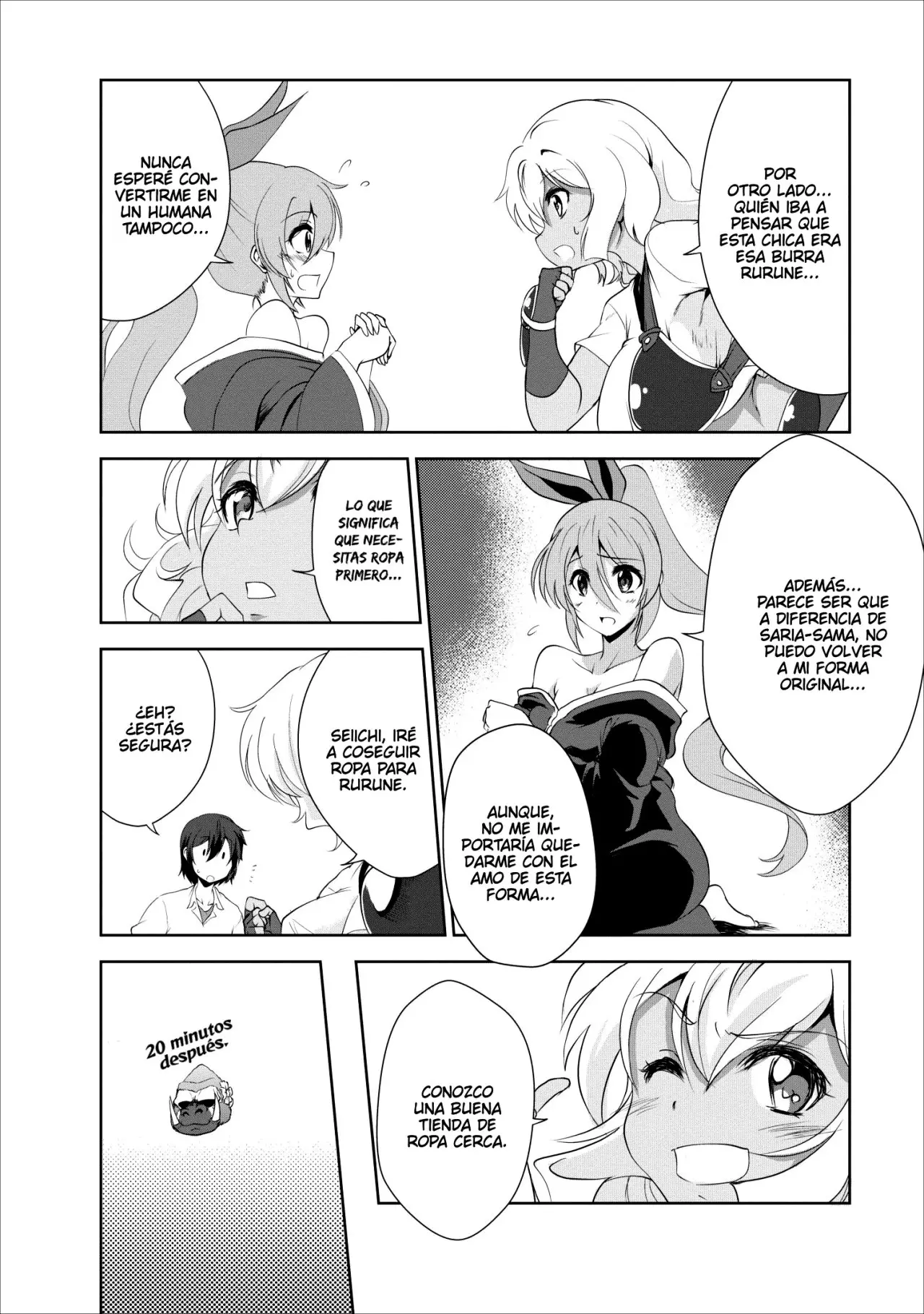 Shinka No Mi capítulo 17, página 13