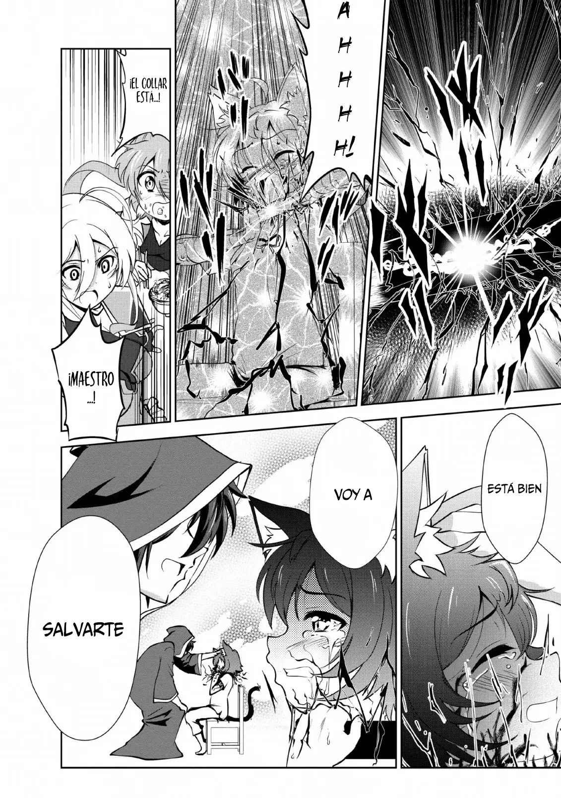 Shinka No Mi capítulo 22, página 13