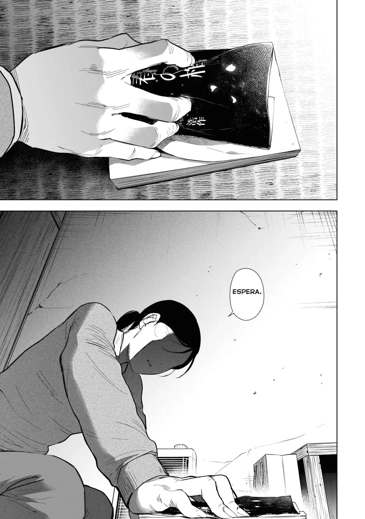Shonen No Abyss capítulo 120, página 12