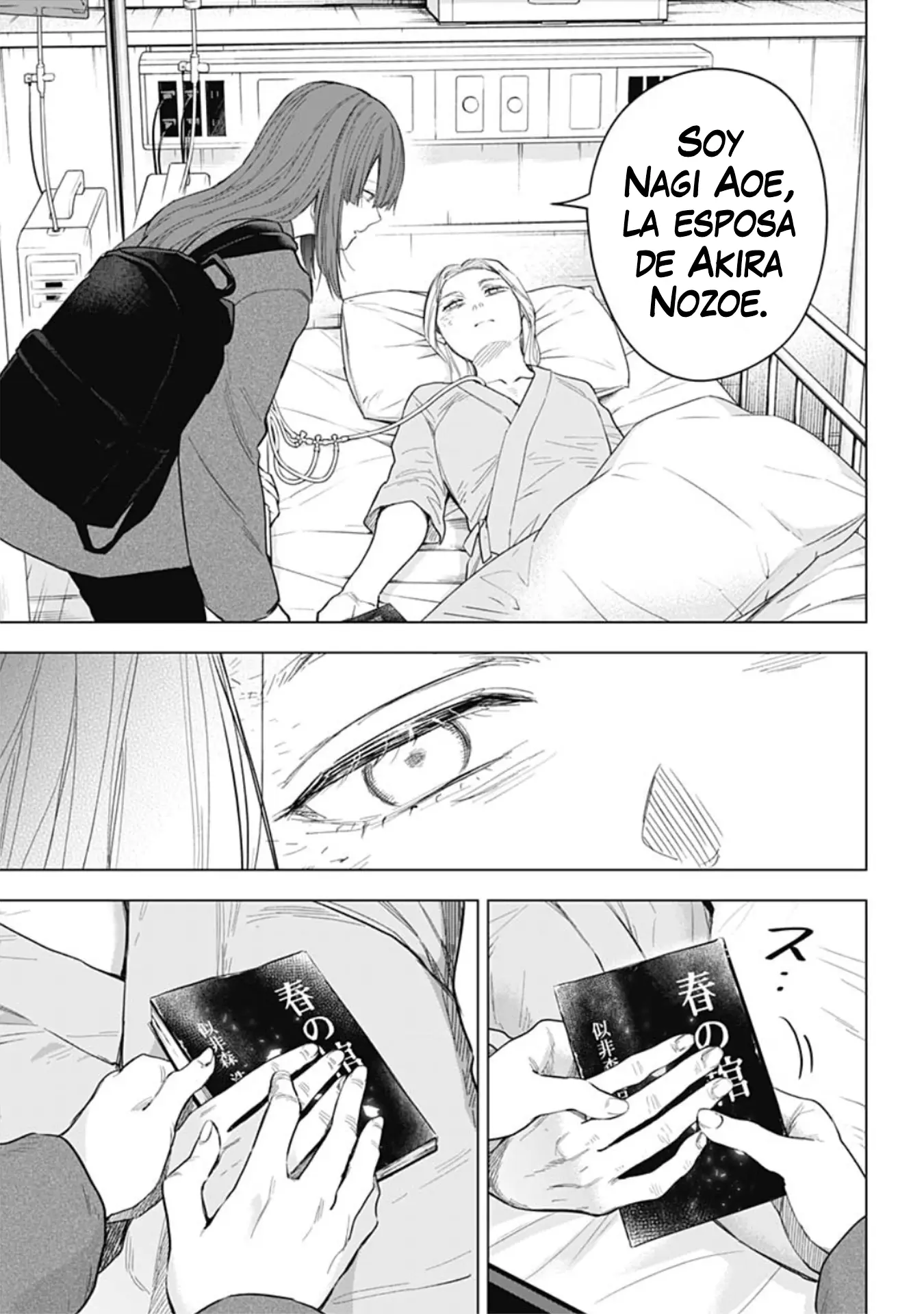 Shonen No Abyss capítulo 153, página 14