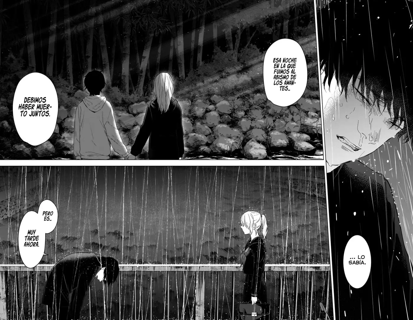 Shonen No Abyss capítulo 95, página 19