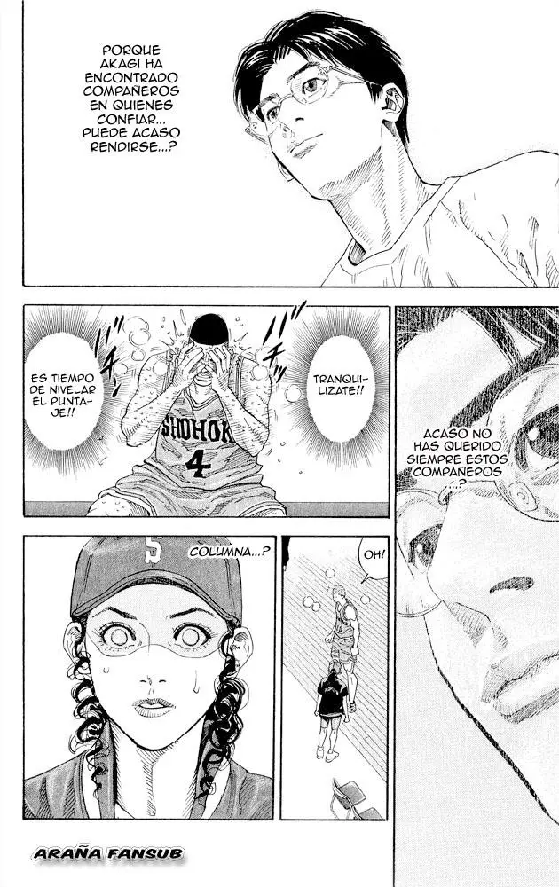 Slam Dunk capítulo 266, página 17