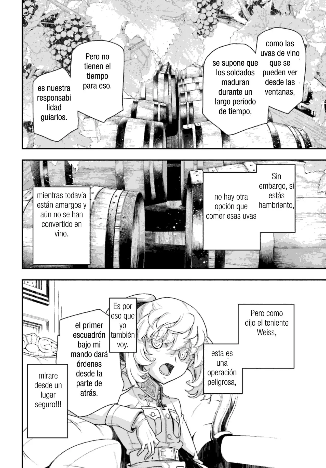 Youjo Senki capítulo 31, página 29