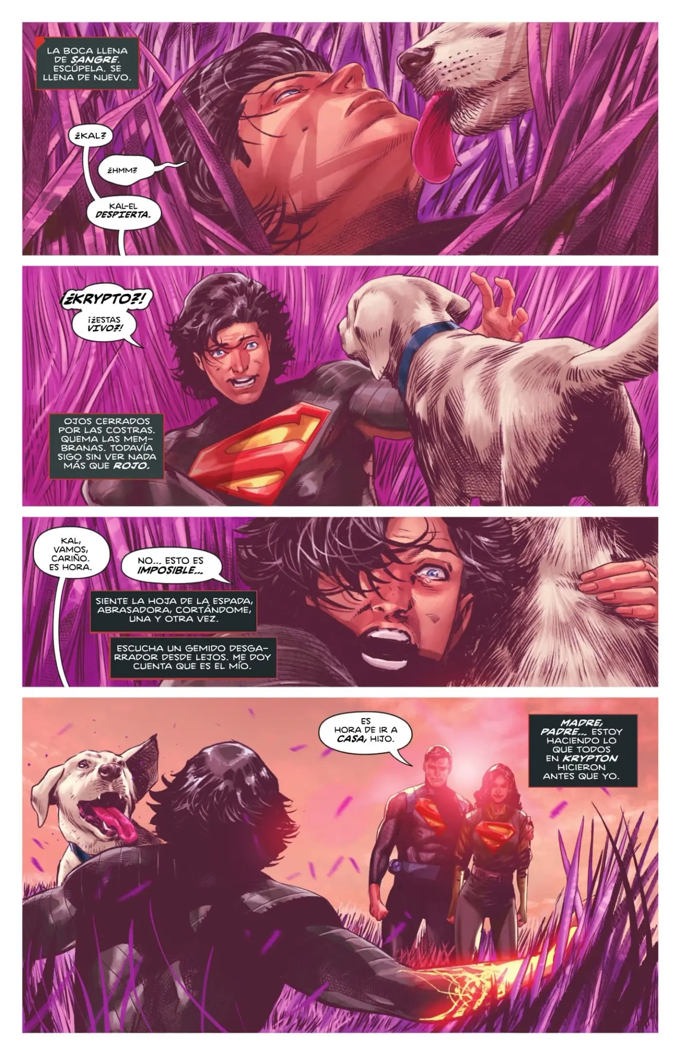Absolute Superman capítulo 14, página 6