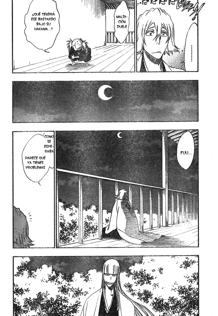 Bleach capítulo 315.2, página 15