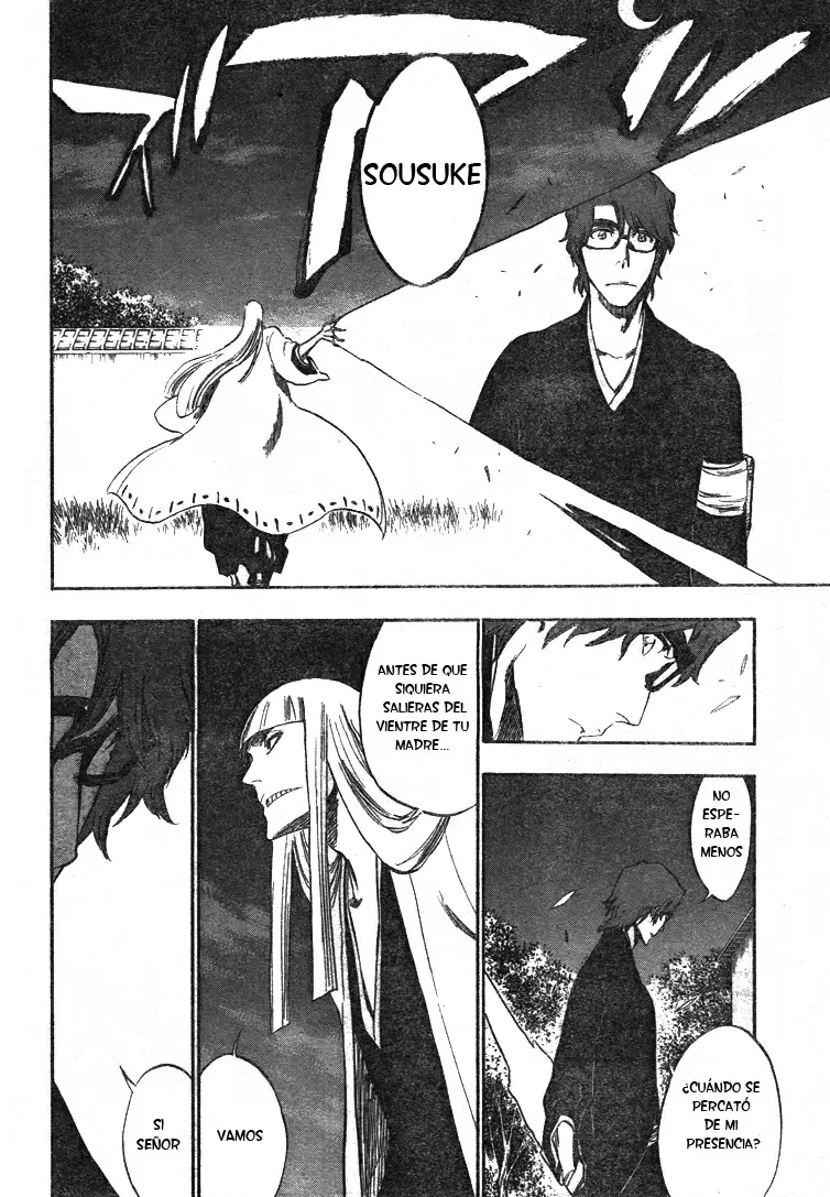 Bleach capítulo 315.2, página 19