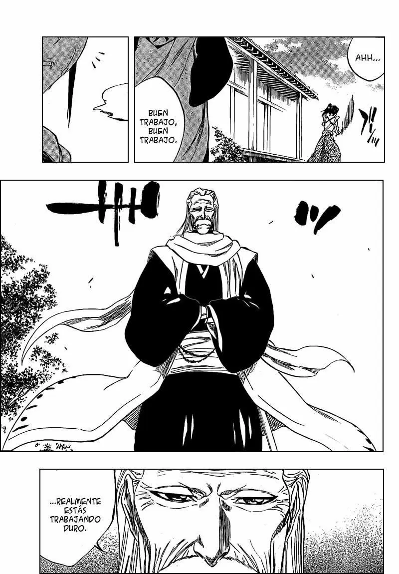 Bleach capítulo 315.4, página 9