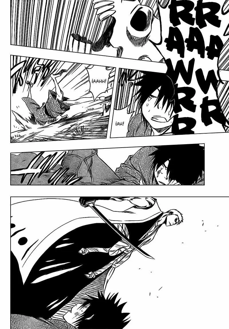 Bleach capítulo 315.5, página 14