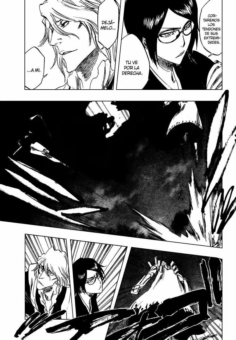Bleach capítulo 315.8, página 9