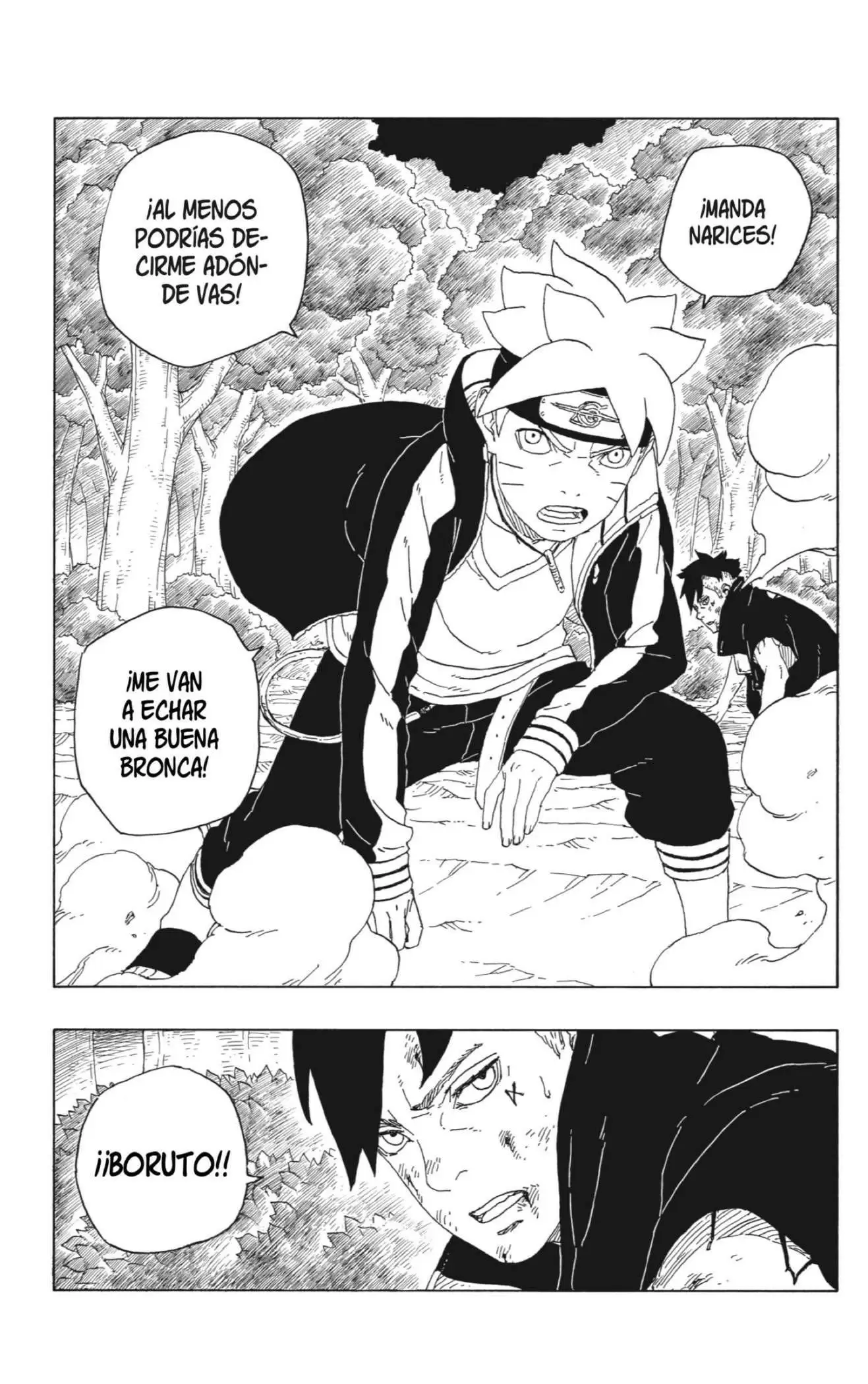 Boruto capítulo 62, página 41