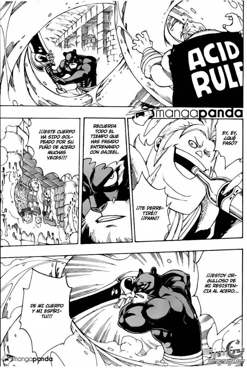Fairy Tail capítulo 310, página 9