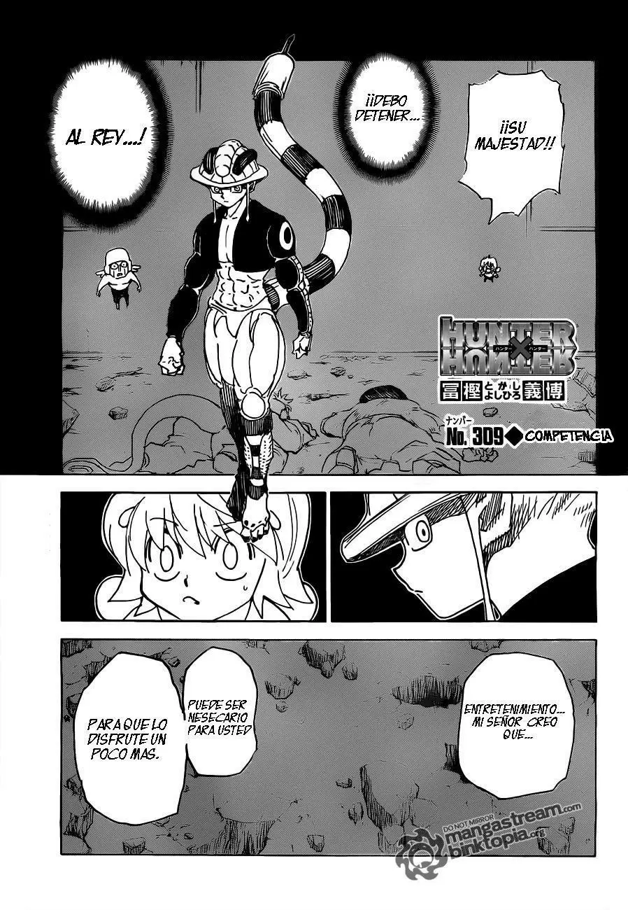 Hunter X Hunter capítulo 310, página 1