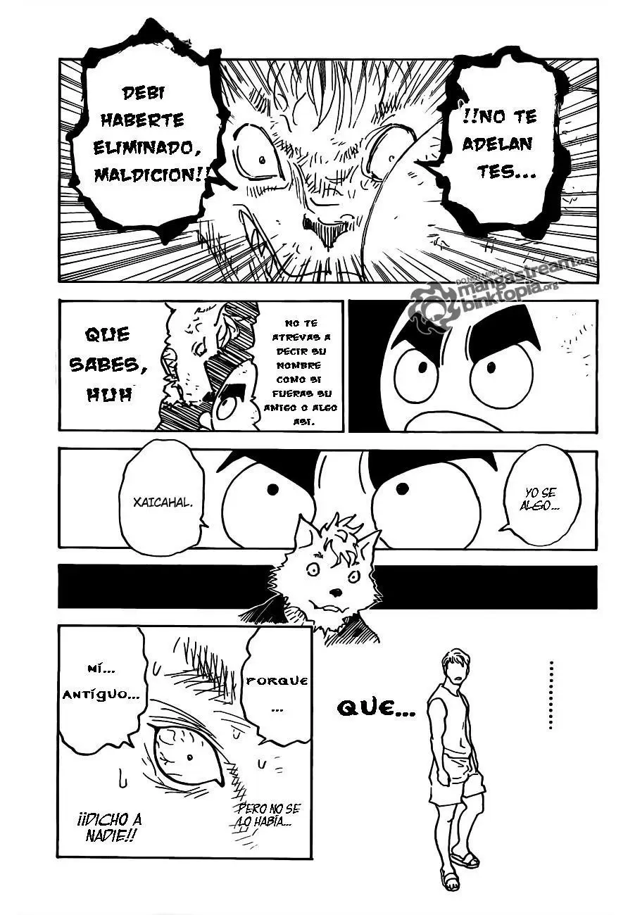 Hunter X Hunter capítulo 310, página 17