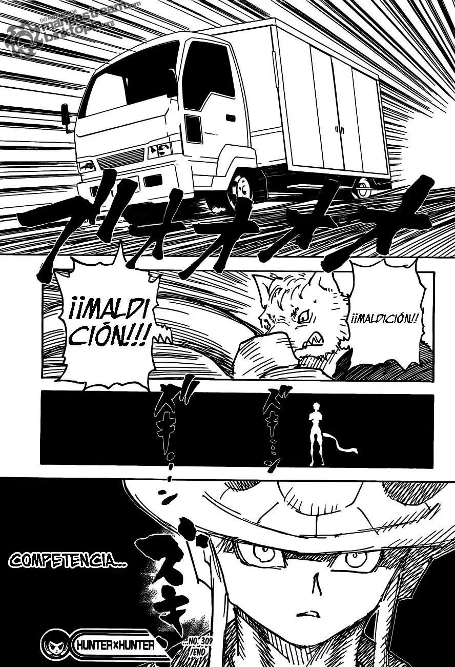 Hunter X Hunter capítulo 310, página 19