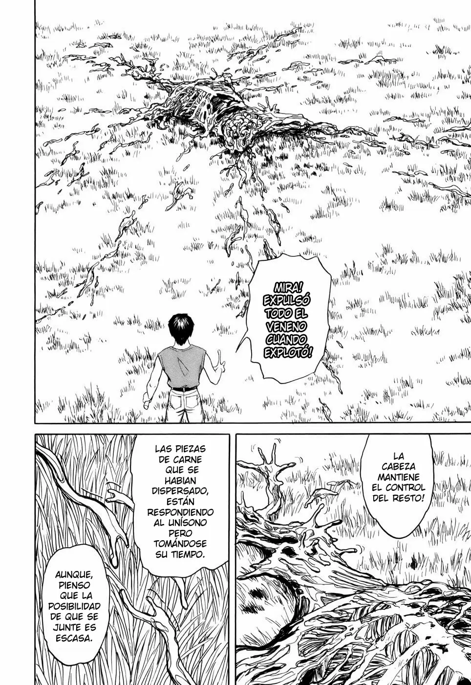 Parasyte capítulo 62, página 30