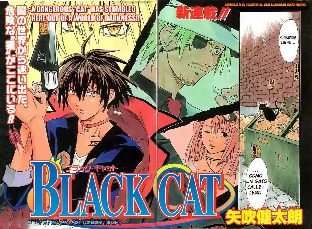 Black Cat capítulo 1, página 3