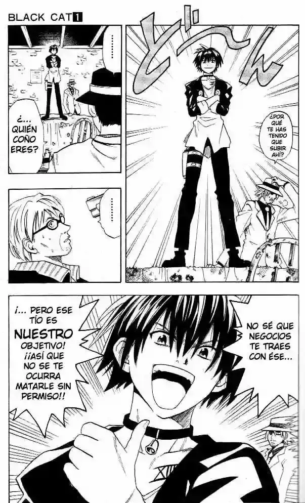 Black Cat capítulo 1, página 13