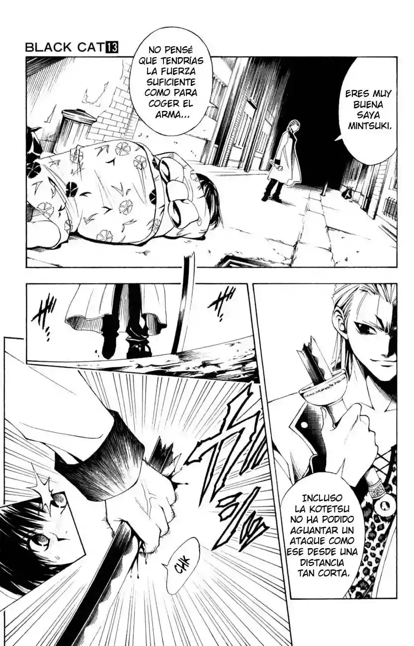 Black Cat capítulo 118, página 14