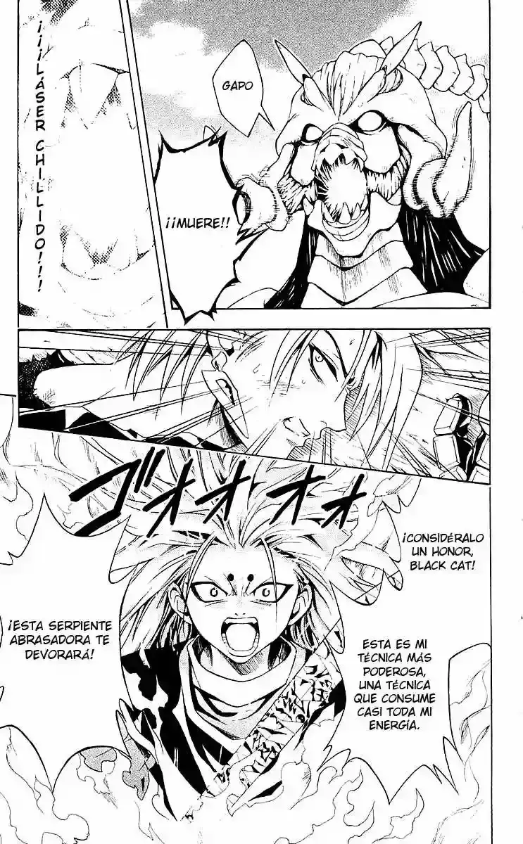 Black Cat capítulo 150, página 13