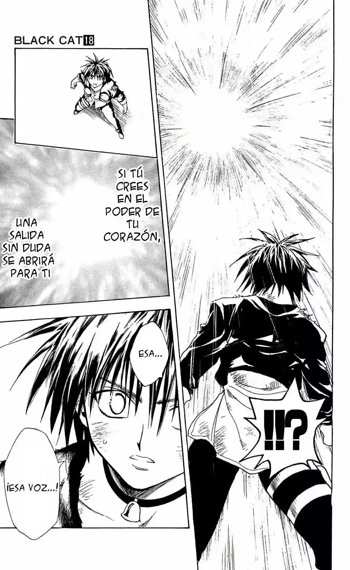 Black Cat capítulo 162, página 13