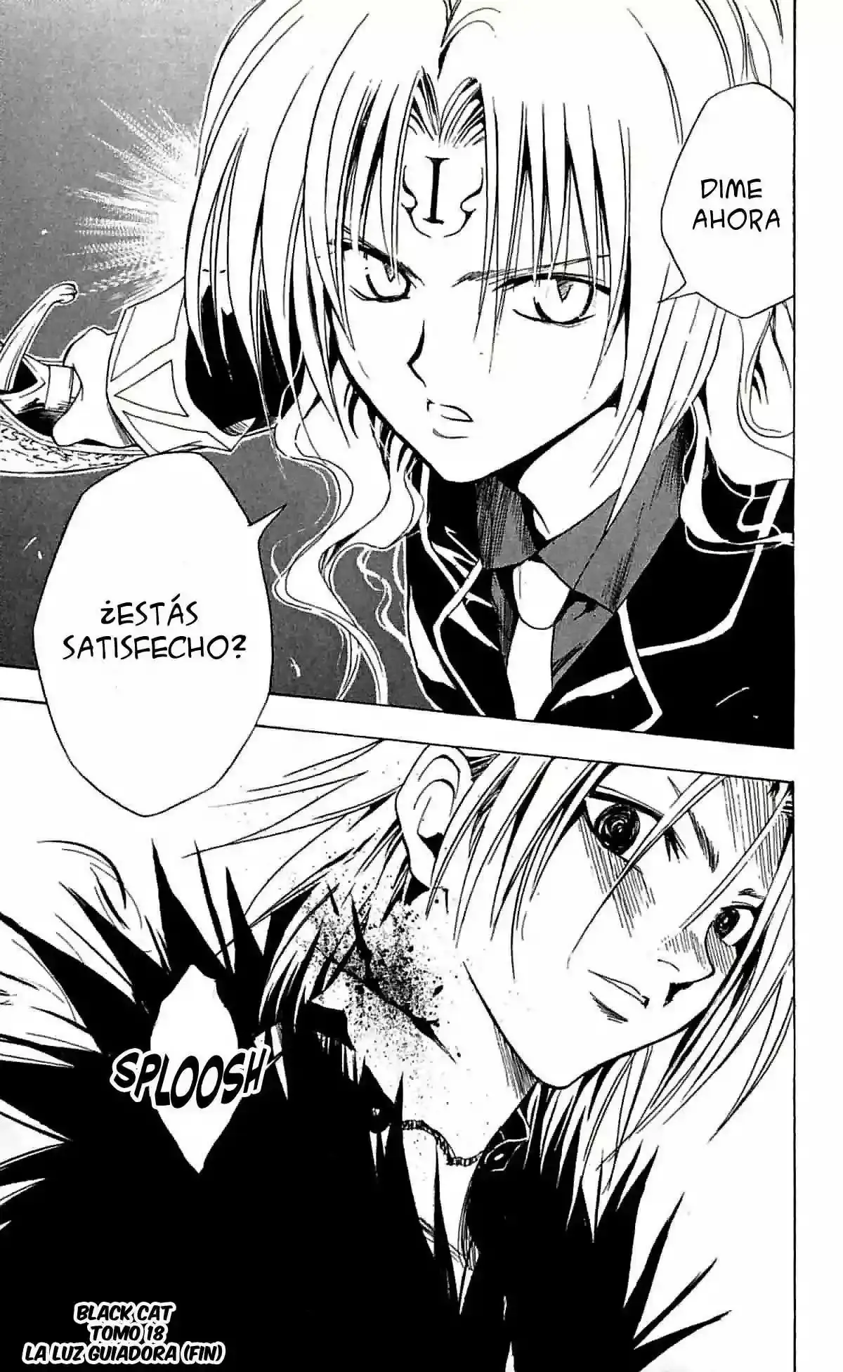 Black Cat capítulo 167, página 19