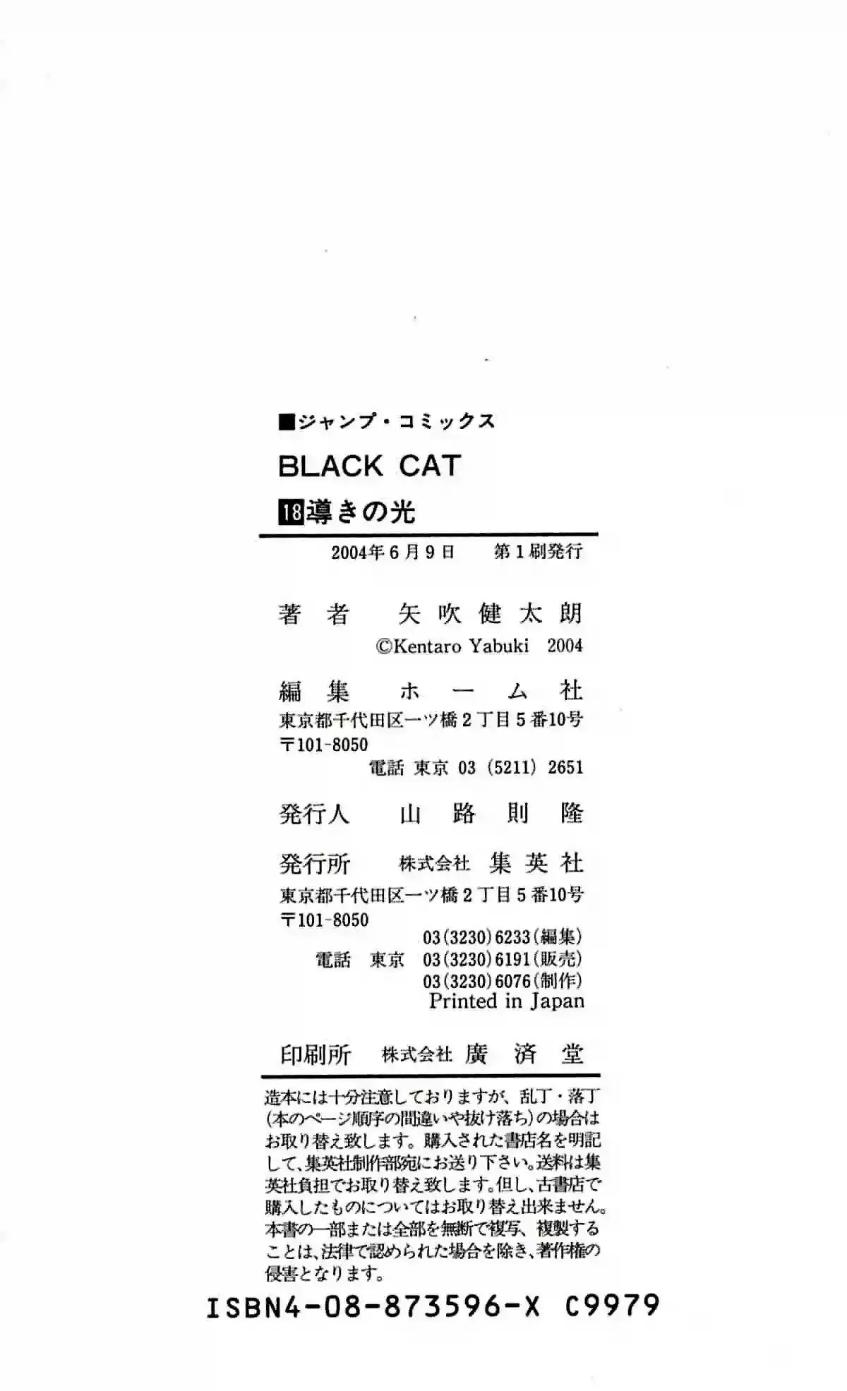 Black Cat capítulo 167, página 22