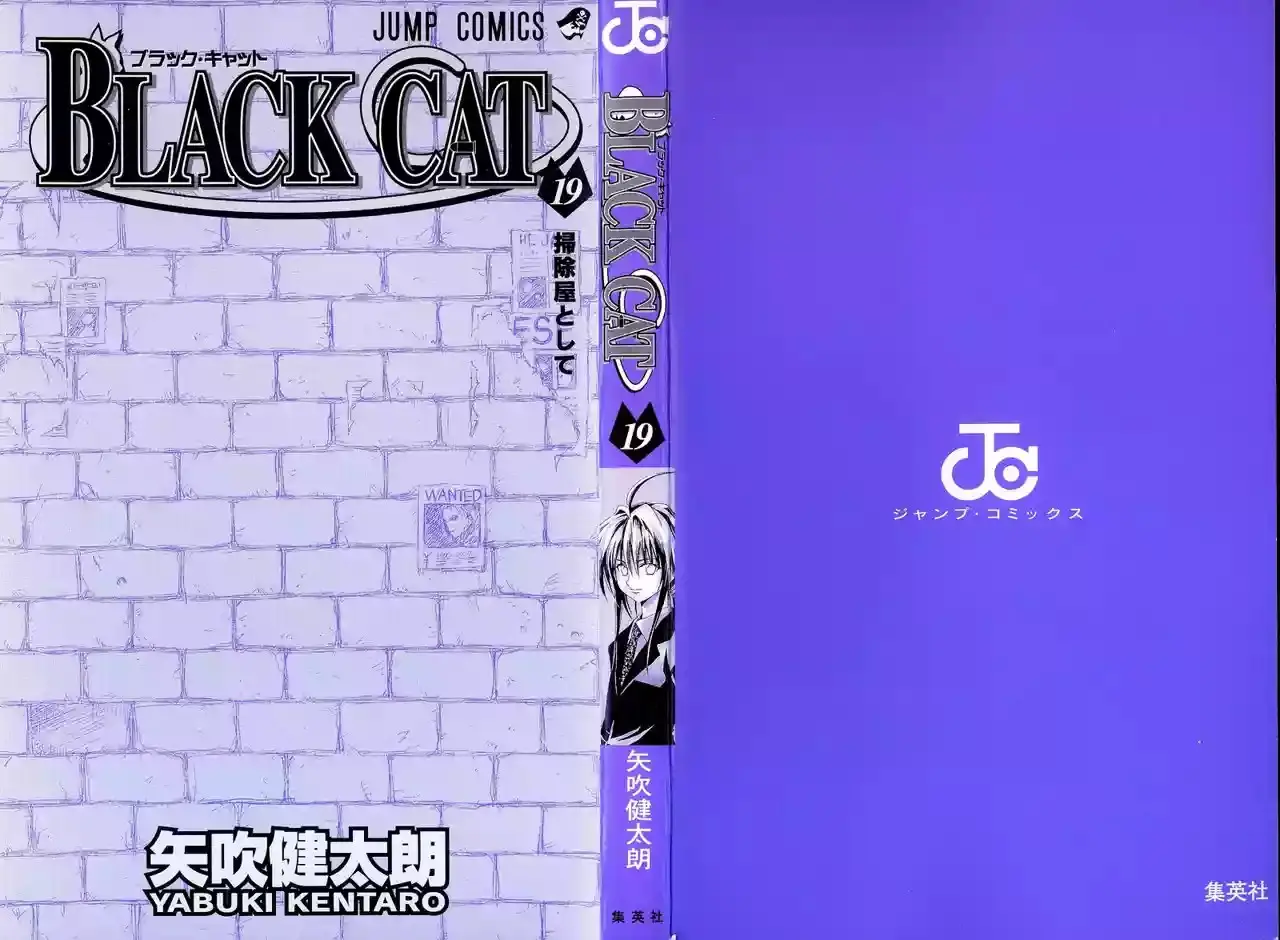 Black Cat capítulo 168, página 4
