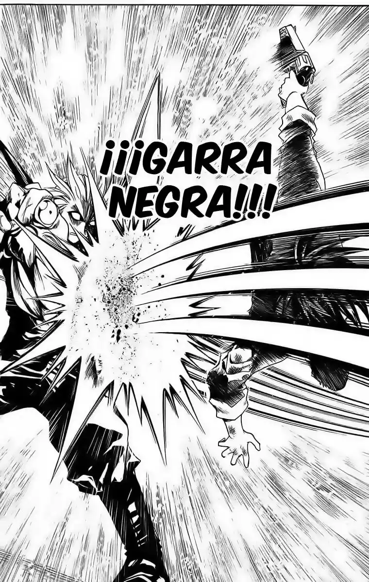 Black Cat capítulo 177, página 14