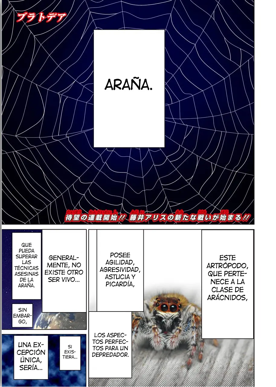 Blattodea capítulo 0, página 4