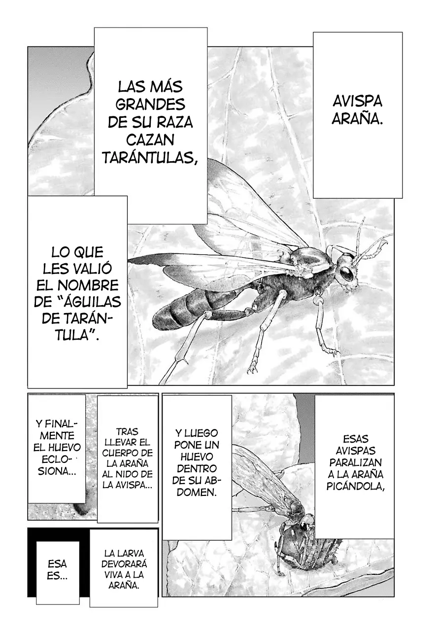 Blattodea capítulo 10, página 19