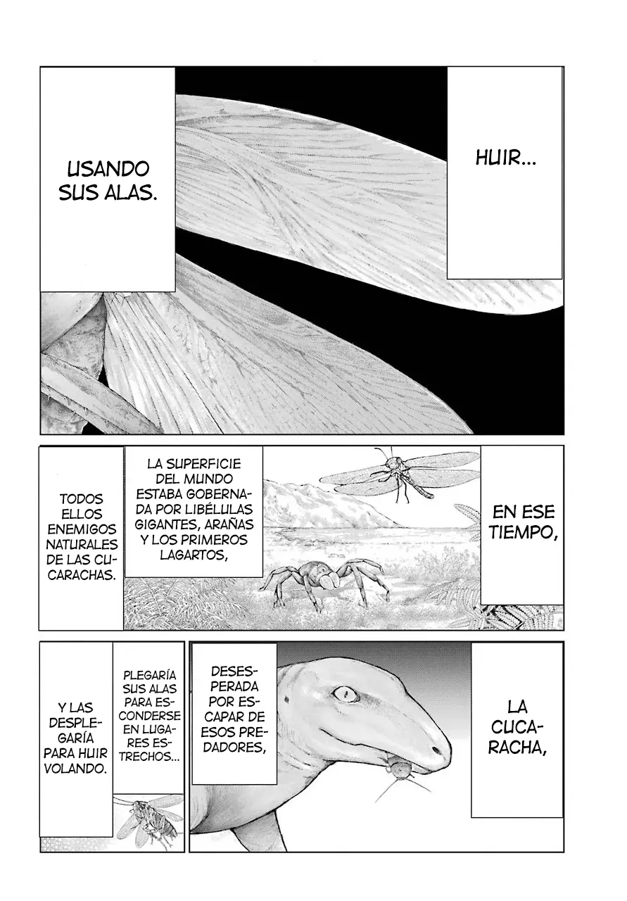 Blattodea capítulo 11.2, página 5