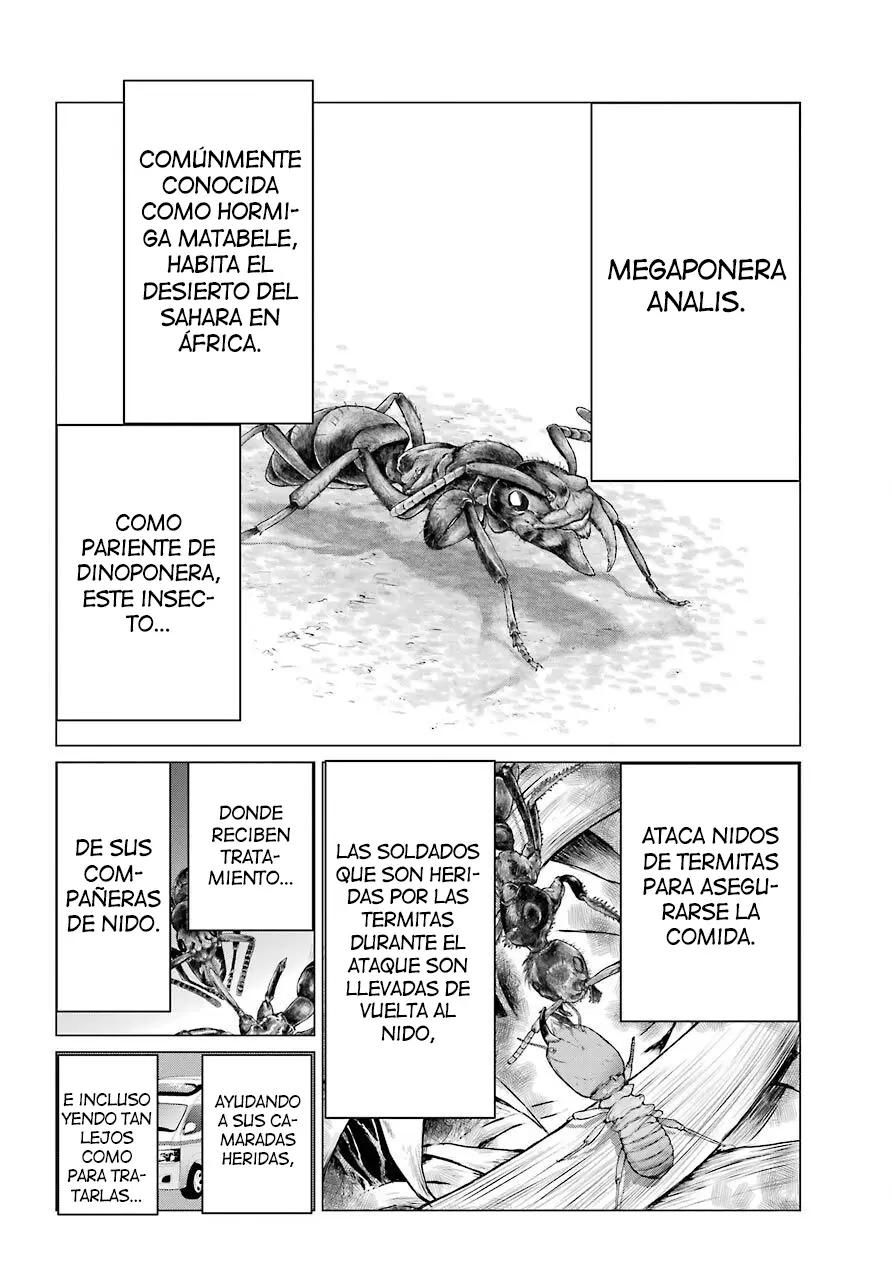 Blattodea capítulo 4, página 27