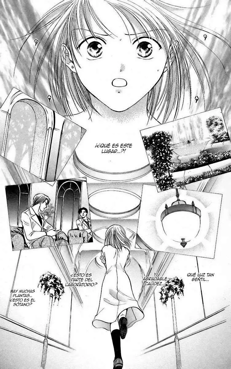 Ceres Celestial Legend capítulo 59, página 4