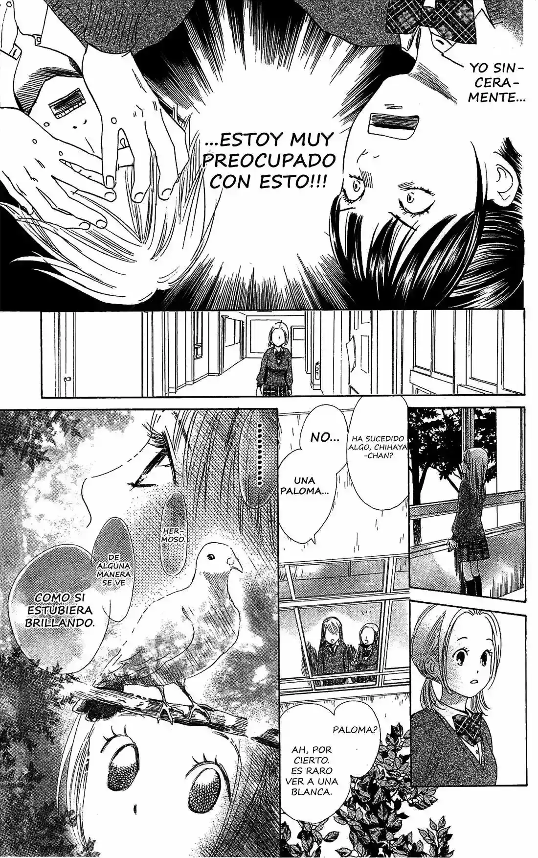 Chihayafuru capítulo 120, página 22