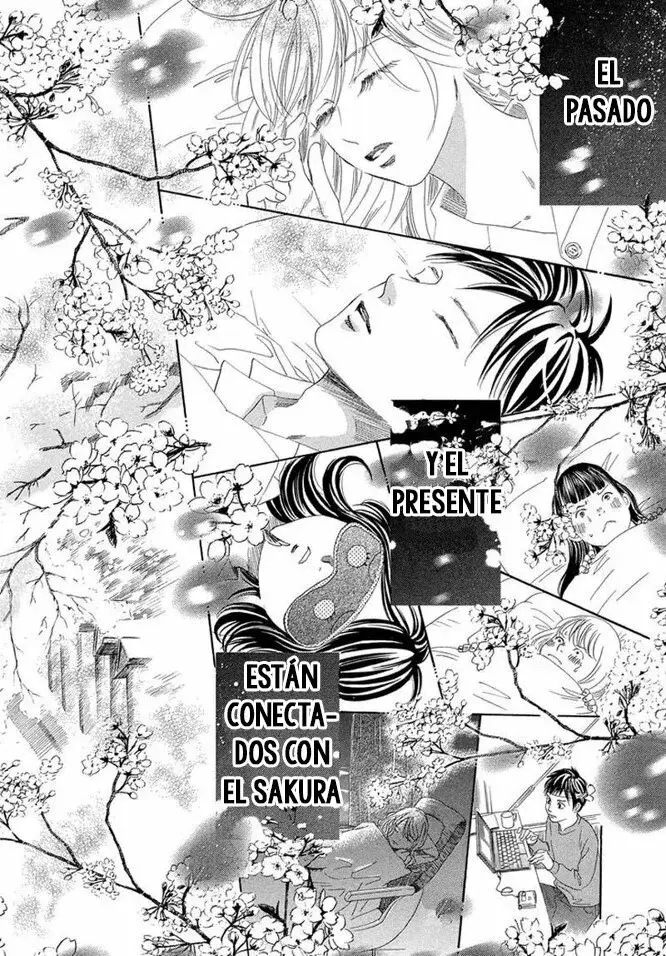 Chihayafuru capítulo 216, página 24