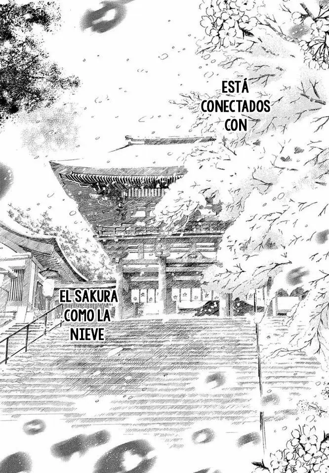 Chihayafuru capítulo 216, página 25