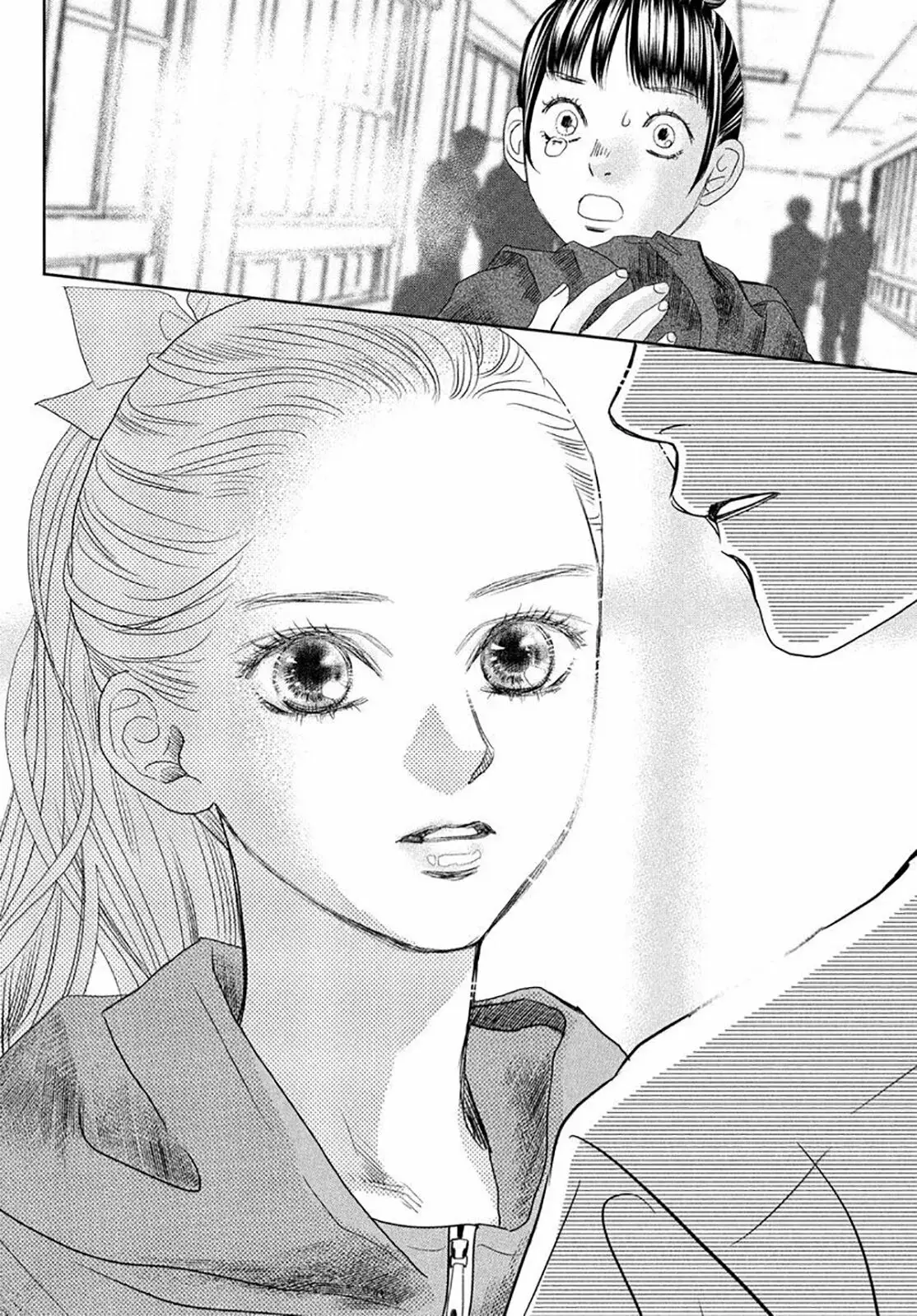 Chihayafuru capítulo 247.5, página 48