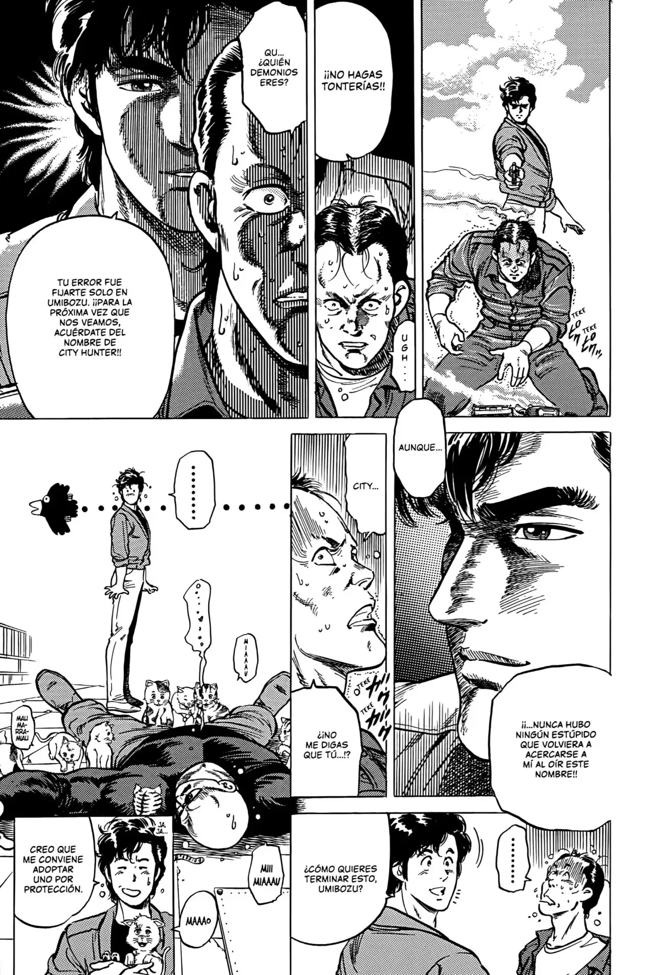 CITY HUNTER capítulo 74, página 20