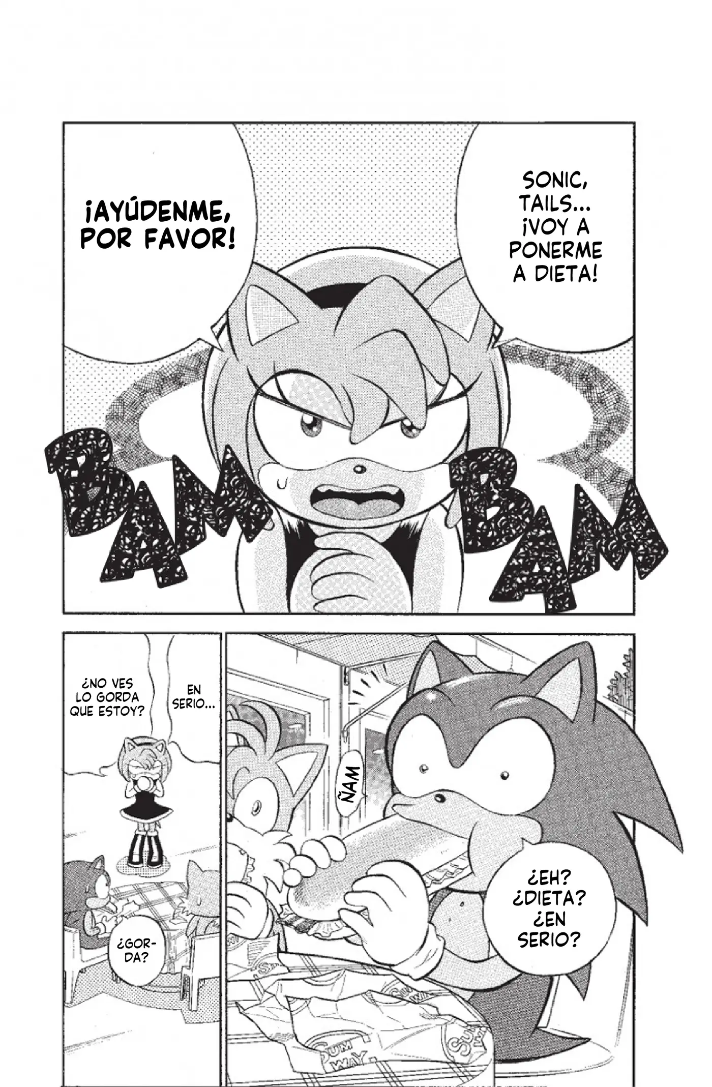 Dash & Spin: Hyper Speed Sonic capítulo 6, página 2