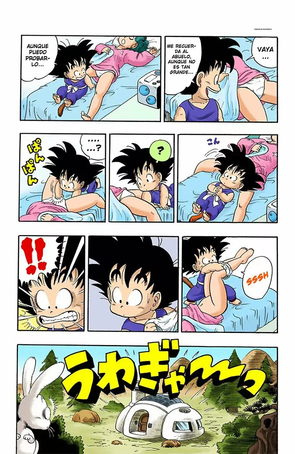 Dragon Ball (Official Colored) capítulo 2, página 14