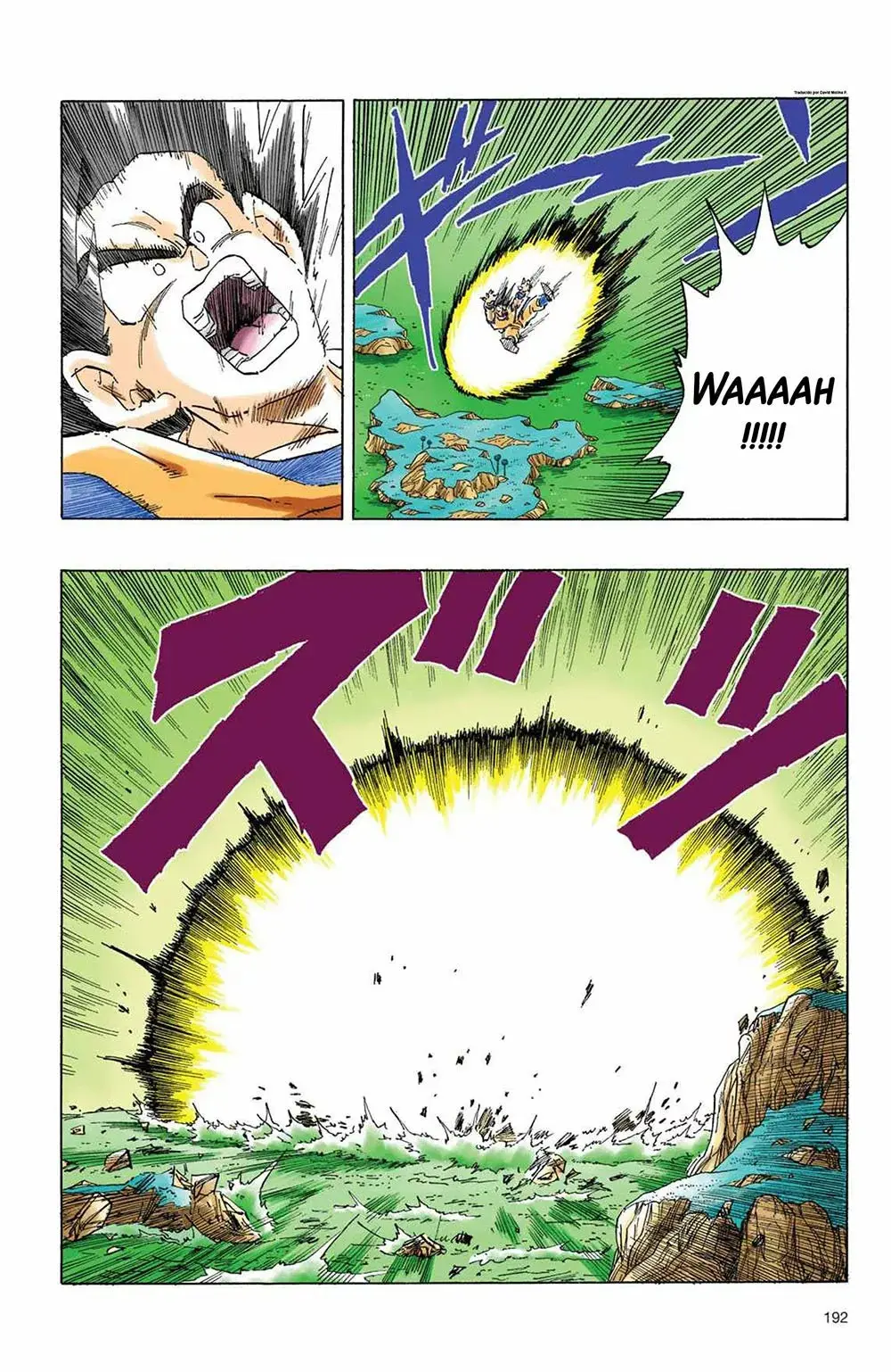 Dragon Ball (Official Colored) capítulo 310, página 10