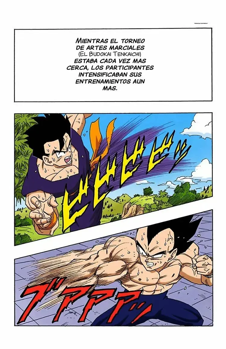Dragon Ball (Official Colored) capítulo 430, página 2