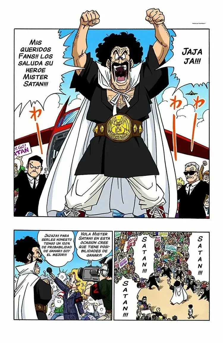 Dragon Ball (Official Colored) capítulo 430, página 9