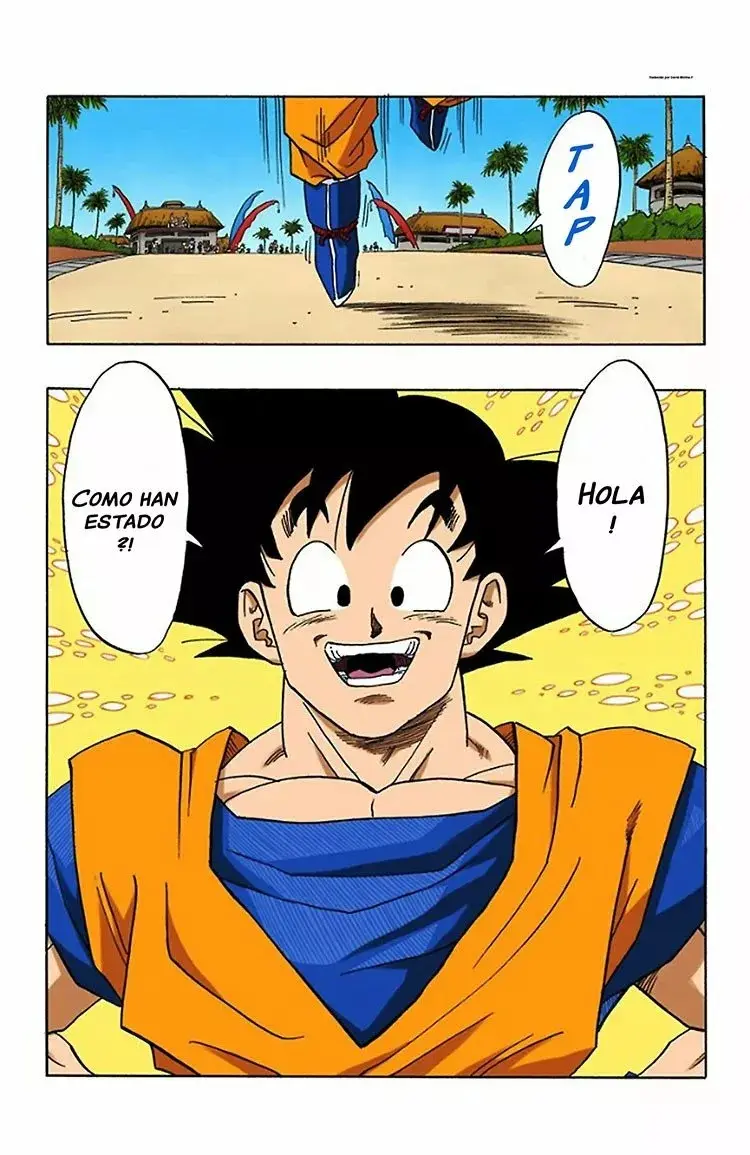 Dragon Ball (Official Colored) capítulo 430, página 11