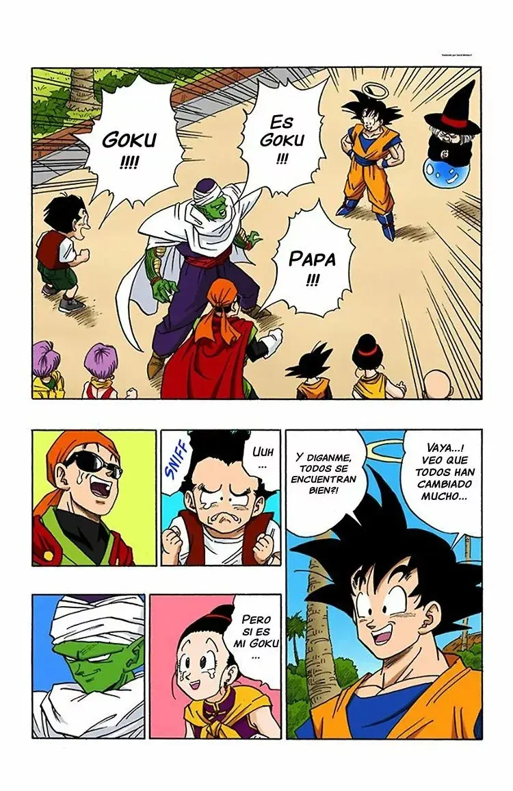 Dragon Ball (Official Colored) capítulo 430, página 12