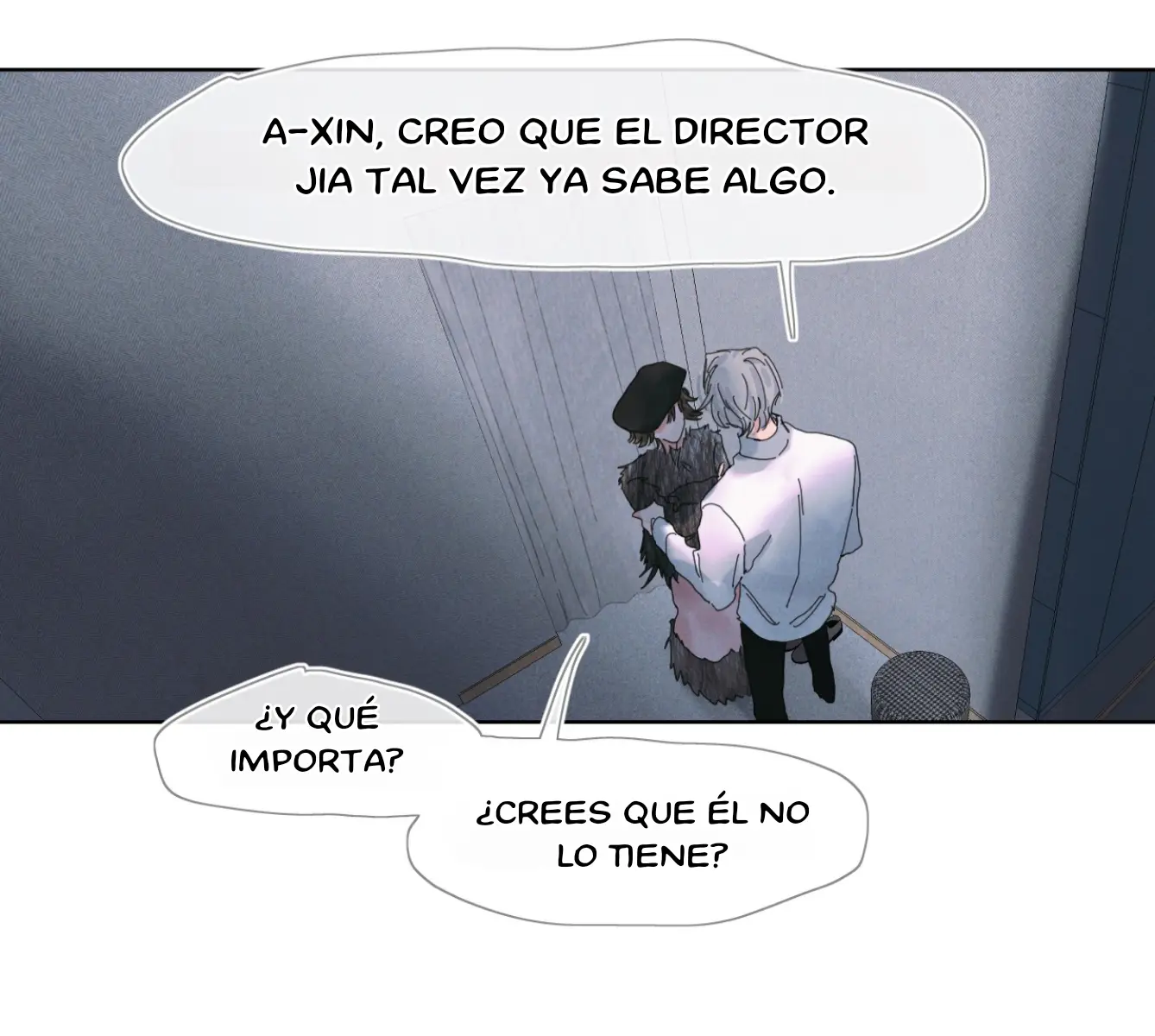 FALSA ILUSIÓN capítulo 12, página 11