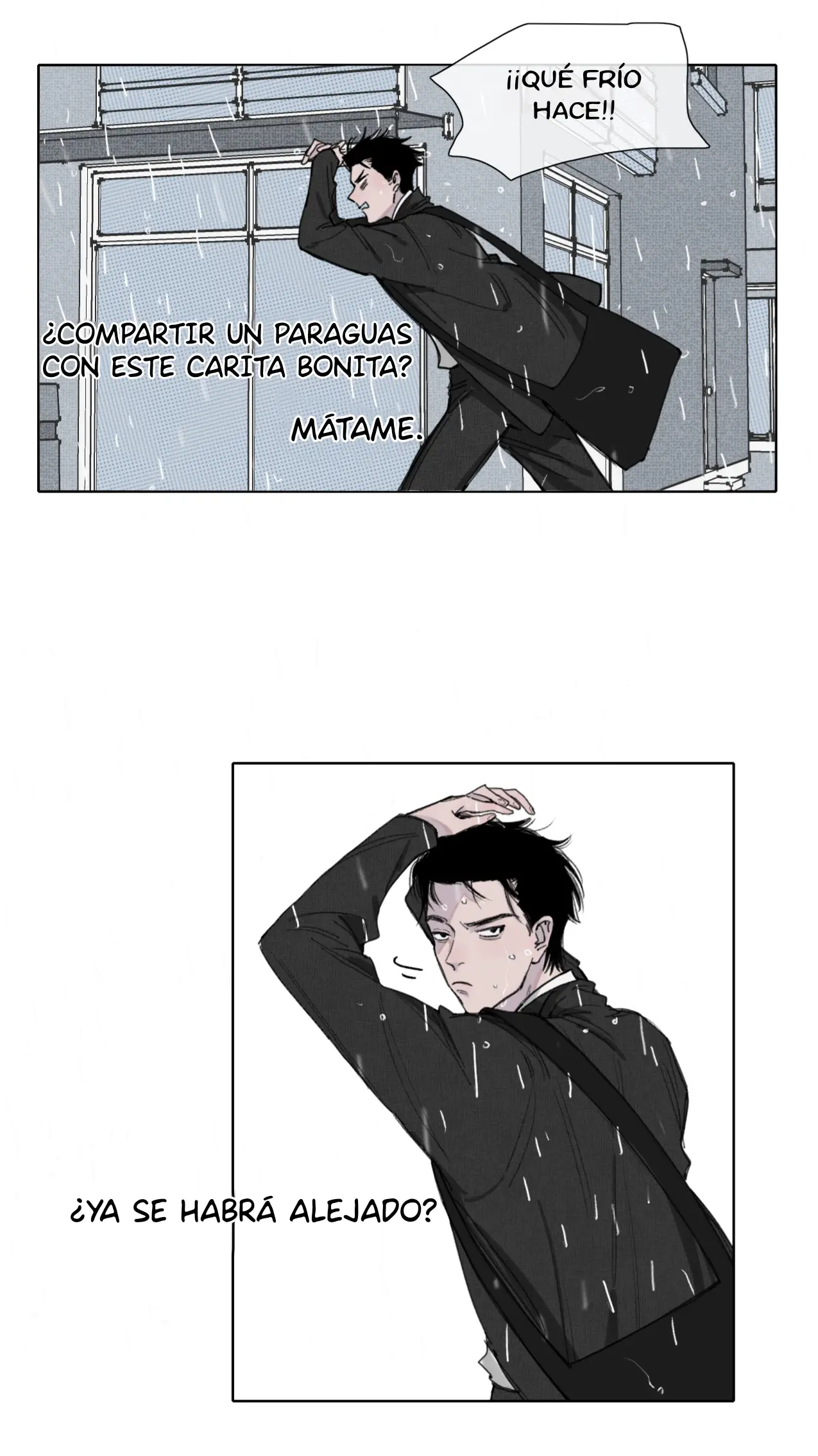 FALSA ILUSIÓN capítulo 2, página 10