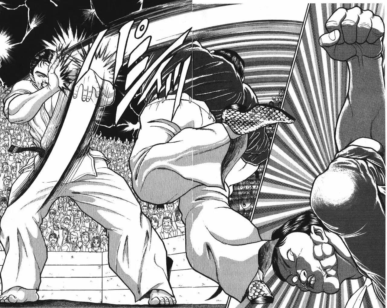 Grappler Baki capítulo 239, página 10