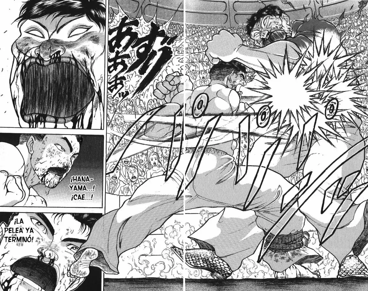 Grappler Baki capítulo 245, página 3